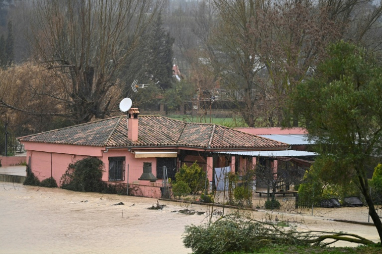 Des champs inondés autour d'une maison, le 4 février 2026 à Ronda, dans le sud de l'Espagne ( AFP / JORGE GUERRERO )