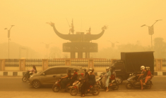 Des motocyclistes portant un masque de protection circulent dans une épaisse brume causée par des feux de forêt et de terres dans la région de Palangkaraya, dans le Kalimantan central, le 24 octobre 2026 en Indonésie ( AFP / REINA )