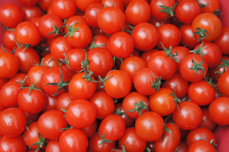 Des tomates cerises pourraient être à l'origine d'une épidémie de salmonellose en Europe. (illustration) (Pixabay / snowday83)