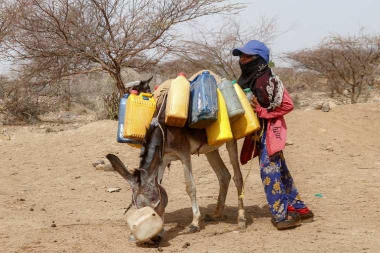 Une enfant transporte à dos d'âne des jerrycans remplis d'eau d'un puits dans un camp pour personnes déplacées, au sud de Hodeida, le 19 juillet 2025 au Yémen ( AFP / Khaled ZIAD )