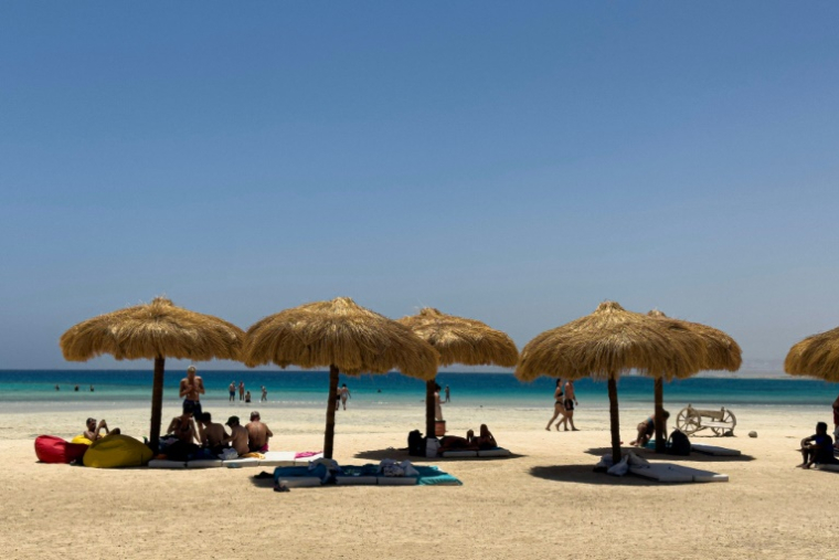 Des touristes s'abritent sous des parasols sur la plage de Ras Hankorab, dans la réserve naturelle de Wadi al-Gemal, sur la mer Rouge, dans le sud-est de l'Egypte, le 28 mai 2025 ( AFP / Khaled DESOUKI )