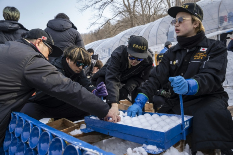 Des joueurs prennent des boules de neige avant une partie de "yukigassen" à Sobetsu, sur l'île septentrionale japonaise d'Hokkaido, le 21 février 2026 ( AFP / Yuichi YAMAZAKI )