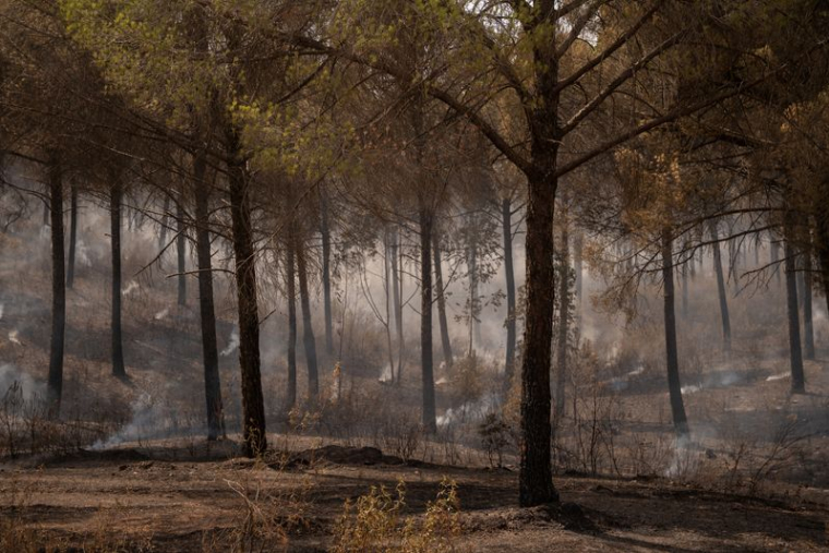 Incendies de forêt en Espagne