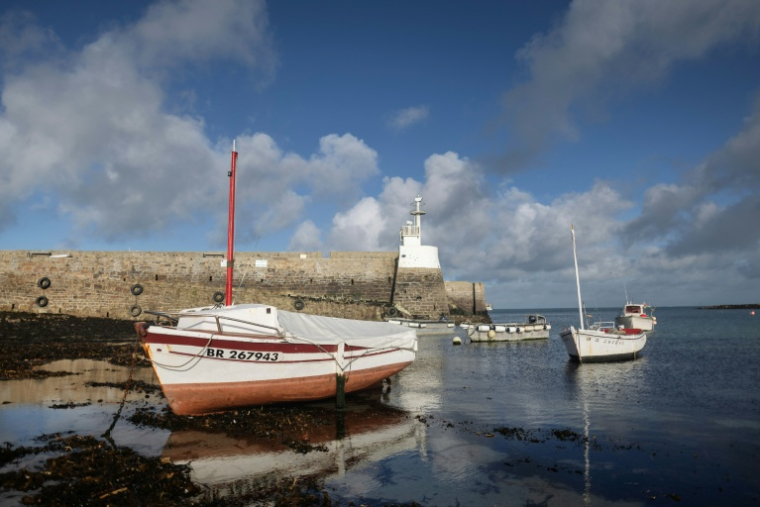 Des bateaux dans le port de l'île de Molène, dans le Finistère, le 3 février 2026  ( AFP / Fred TANNEAU )