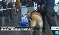 La lutte contre le narcotrafic s'intensifie en Polynésie françaises