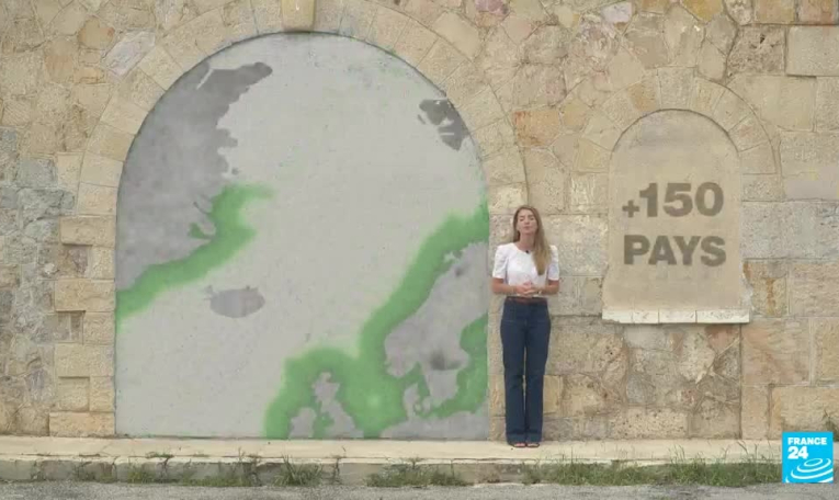 Posidonie : le poumon de la Méditerranée à bout de souffle