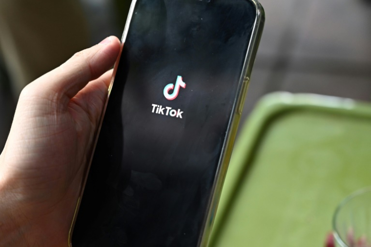 L'autorité irlandaise de protection des données (DPC), qui agit au nom de l'Union européenne, a ouvert jeudi une enquête contre TikTok sur le stockage de certaines données personnelles d'utilisateurs européens sur des serveurs chinois ( AFP / Nhac NGUYEN )