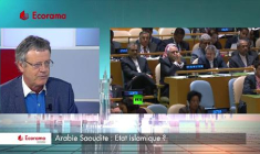 Arabie Saoudite : Etat islamique ? (VIDEO)