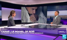 Caviar : "Avec le Covid-19, beaucoup de producteurs ont mis la clé sous la porte"