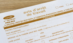Du nouveau concernant les arrêts de travail et la lutte contre la fraude (Crédits photo: ©  Léna Constantin - stock.adobe.com)
