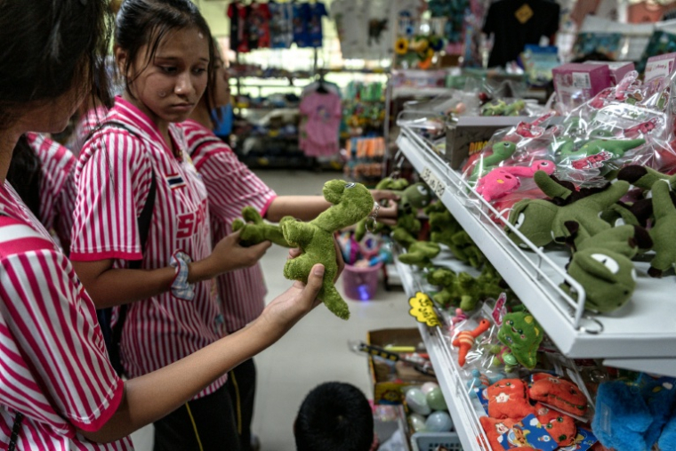 Des visiteurs regardent des peluches dans la boutique du musée des dinosaures de Phu Wiang à Khon Kaen, en Thaïlande, le 19 août 2026 ( AFP / Chanakarn LAOSARAKHAM )