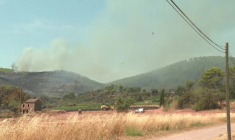 Incendies dans le Var: les Canadairs toujours en action