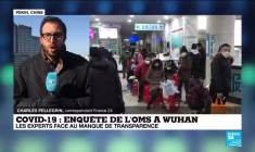 À Wuhan en Chine, les experts de l'OMS vont tenter d'enquêter sur l'origine du Covid-19
