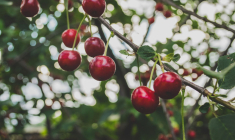 (Crédits photo : Unsplash - Macu ic )