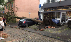 DE VIOLENTES TEMPÊTES FRAPPENT L'ALLEMAGNE, UN MORT ET 40 BLESSÉS