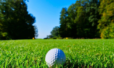 Cette propriété profite ainsi de son propre étang, de sa forêt et même de son golf privé à 6 trous(Crédits photo : Unsplash - Ludwig Schreier )