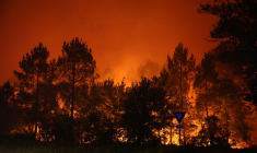 Un incendie d'une grande virulence à Le Porge en Gironde, le 23 juillet 2026 ( AFP / ROMAIN PERROCHEAU )