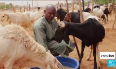 Royaume-Uni : avec l'inflation alimentaire, la faim se banalise pour des millions de personnes