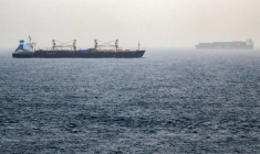 Des navires dans le détroit de Bab el-Mandeb, en juillet 2026 ( AFP / KHALED ZIAD )