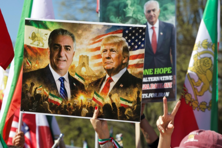 Manifestation à l'appel de Reza Pahlavi, fils exilé du shah iranien, à Washington DC, le 29 mars 2026  ( AFP / Amid FARAHI )