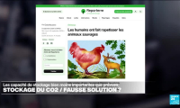 Le stockage du CO2, fausse solution ?