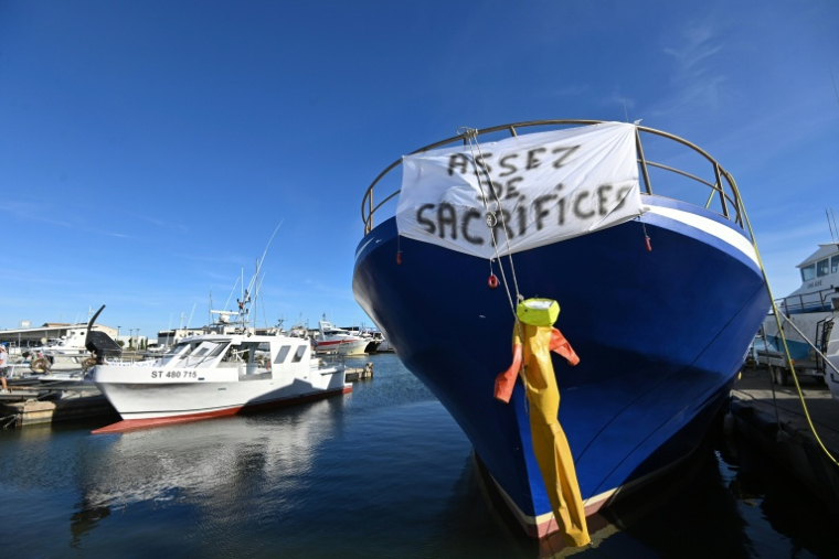 Les dispositifs mis en place pour les pêcheurs, les agriculteurs et le secteur du BTP ont tous été prolongés jusqu'au 31 décembre ( AFP / Sylvain THOMAS )