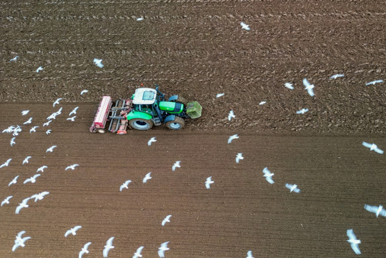 ( AFP / DAMIEN MEYER )