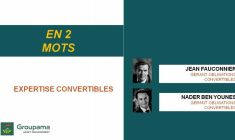 Expertise Convertibles : en 2 mots !