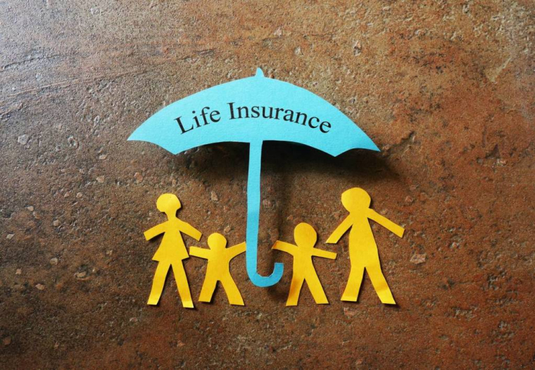 La fintech Many for Money œuvre pour optimiser la compétitivité de l'assurance-vie / iStock.com - zimmytws