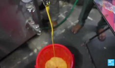 Sécurité alimentaire en Inde : un défi pour le pays le plus peuplé au monde