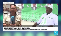 Nomination d'Albert Pahimi Padacké au Tchad : "Une surprise et une déception"