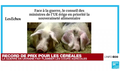 Guerre en Ukraine : les prix des matières premières agricoles flambent
