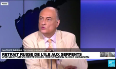 Retrait russe de l'île aux Serpents : voie maritime ouverte pour l'exportation de blé ukrainien