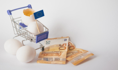 La consommation nationale croît même si les Français aiment davantage les œufs que les poulaillers. (crédit: Adobe Stock)