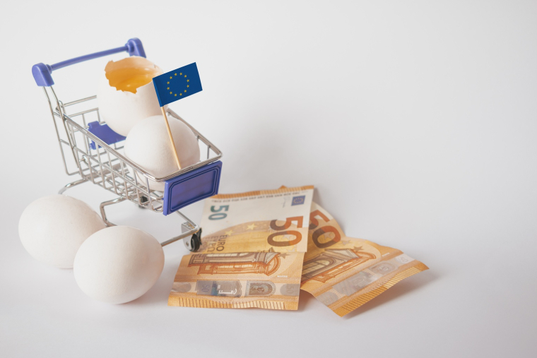 La consommation nationale cro&icirc;t m&ecirc;me si les Fran&ccedil;ais aiment davantage les &oelig;ufs que les poulaillers. (cr&eacute;dit: Adobe Stock)