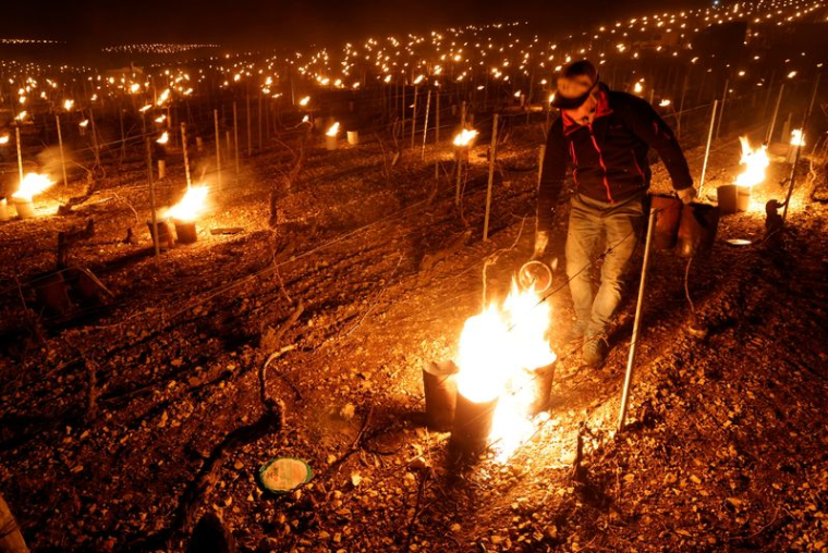 DANS LES VIGNOBLES FRANÇAIS, DES "BOUGIES" CONTRE LE GEL