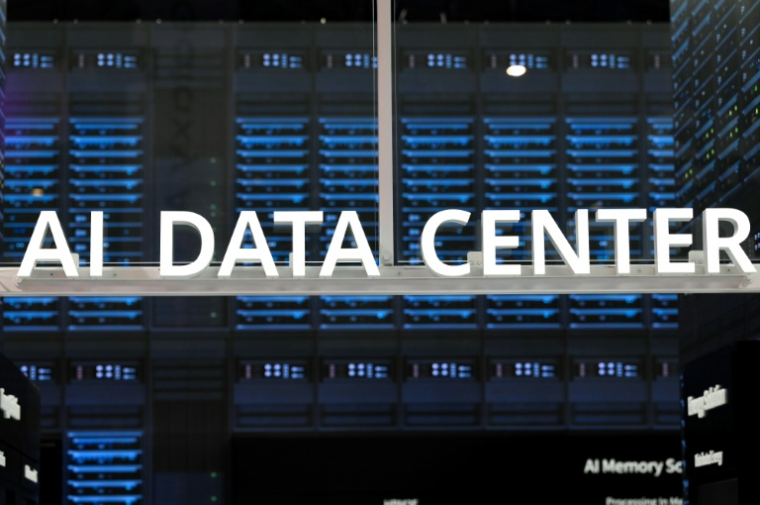 Les logiciels et les bases de données apparaissent comme le type d'actifs incorporels qui connaît la croissance la plus rapide, avec une expansion de plus de 7% par an entre 2013 et 2022, croissance stimulé par l'essor actuel de l'intelligenced artificielle (IA) ( AFP / Josep LAGO )
