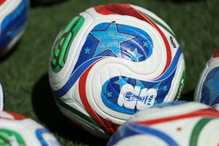 Les douanes françaises ont saisi près de 2.300 maillots contrefaits de la Coupe du monde de football à venir ( AFP / FRANCK FIFE )