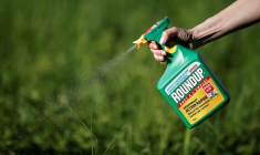 ROUNDUP: MONSANTO LOURDEMENT CONDAMNÉ AUX ETATS-UNIS