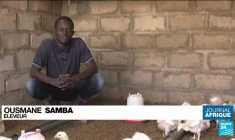 Législatives au Sénégal : la hausse des prix au cœur des préoccupations