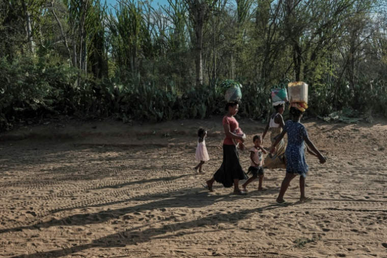 Des habitants au retour d'un marché à Ifotaka, dans le sud de Madagascar, le 23 septembre 2026 ( AFP / Razafindrakoto Mamy Nirina )