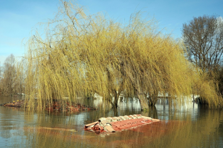 Les inondations à Chaniers en Charente-Maritime le 20 février 2026 ( AFP / ROMAIN PERROCHEAU )