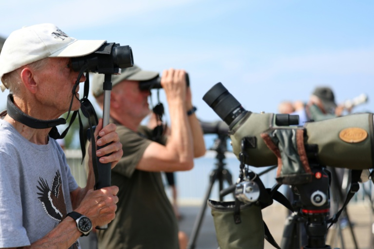 Des ornithologues amateurs et des bénévoles de l'organisation Batumi Raptor Count (BRC) observent des rapaces qui migrent par le "goulot d’étranglement de Batoumi", le 22 septembre 2026 à Sakhalvasho, en Géorgie ( AFP / Giorgi ARJEVANIDZE )