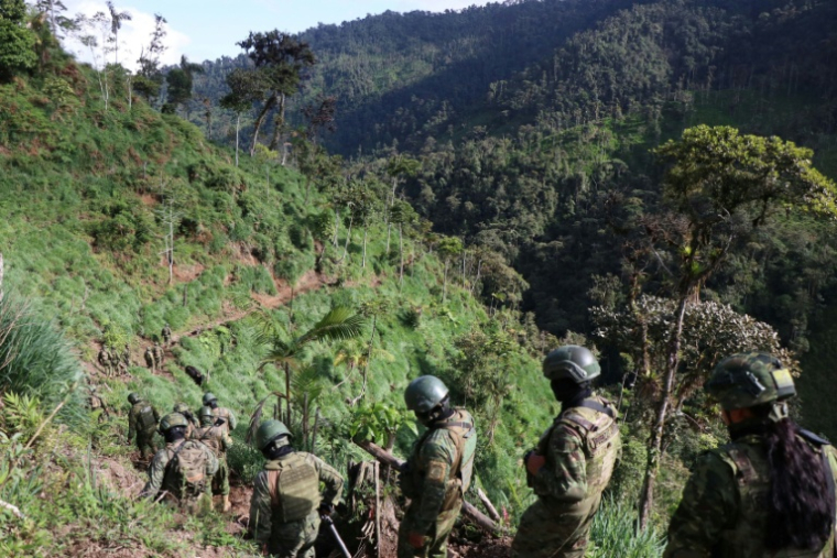 Des membres de l'armée participent à une opération contre l'extraction minière illégale à Buenos Aires, dans la province d'Imbabura, en Equateur, le 27 mai 2026 ( AFP / Galo Paguay )