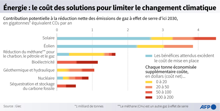 Différentes options d'approvisionnement en énergie pour réduire les émissions de gaz à effet de serre d'ici 2030, leur potentiel et leur coût, selon le Giec ( AFP / )