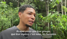 Colombie: un bébé ouistiti abandonné pris en charge dans un centre colombien