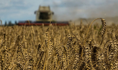 UKRAINE: LES EXPORTATIONS DE CÉRÉALES POUR 2022-2023 EN RECUL DE PLUS DE 50%