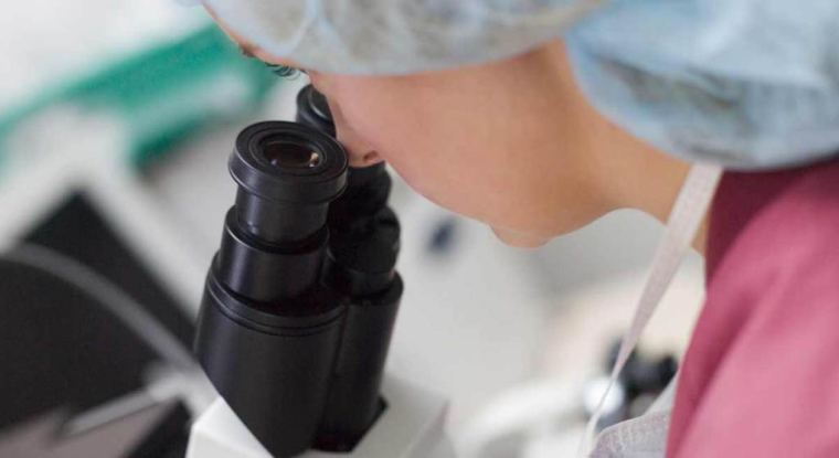 La probabilité de réussite de l'essai clinique de phase III sur Elafibranor est évaluée, selon les analystes, à 50%. (© DR)