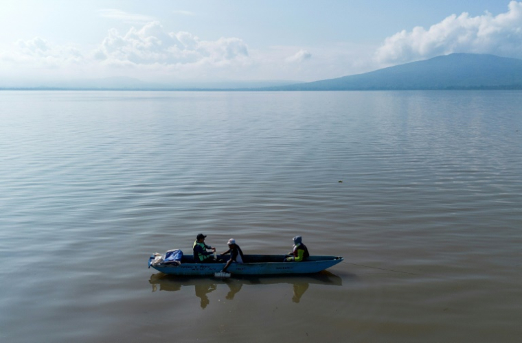 Des chercheurs de l'Université Michoacan de San Nicolas de Hidalgo (UMSNH) sur le lac Patzcuaro recherchent des œufs d'achoque (Ambystoma dumerilii), à San Jerónimo Purenchecuaro, dans l'État de Michoacan, au Mexique, le 27 juin 2025 ( AFP / Enrique Castro )