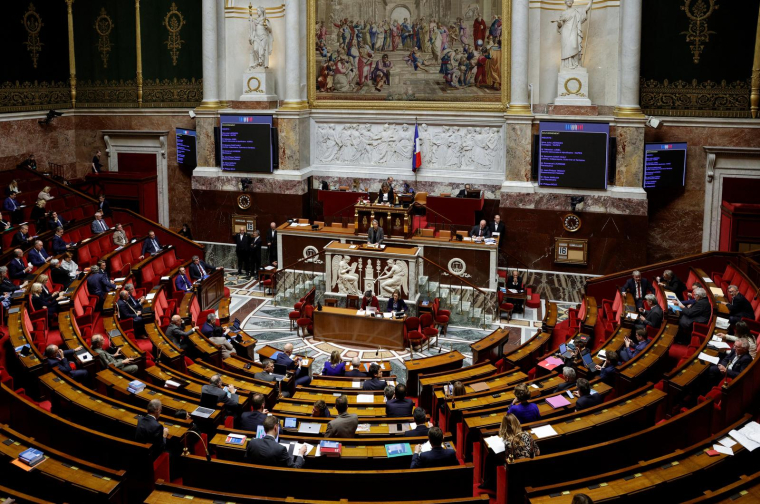 L'Assemblée nationale, en novembre 2022 ( AFP / GEOFFROY VAN DER HASSELT )